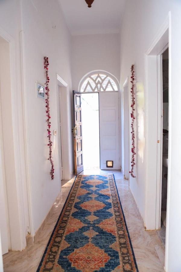 Luxor Oasis Guest House Экстерьер фото