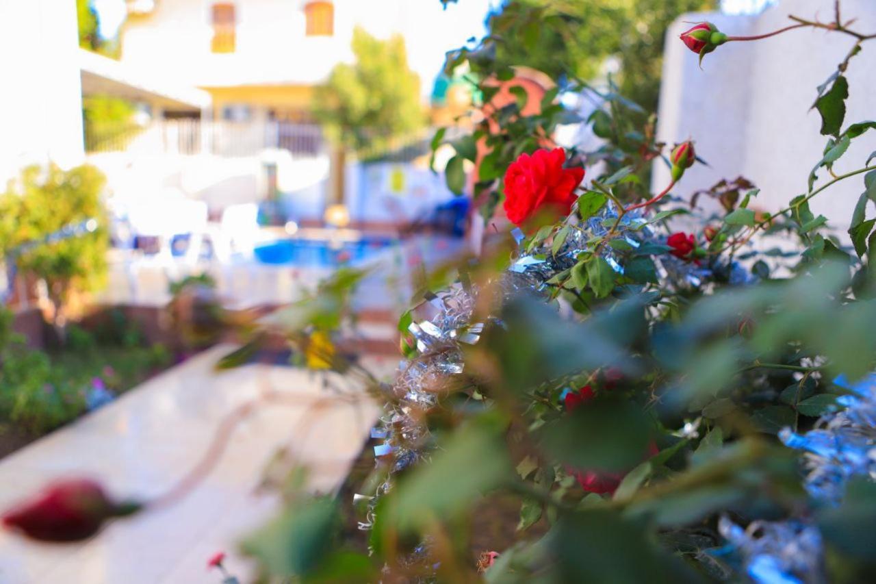 Luxor Oasis Guest House Экстерьер фото