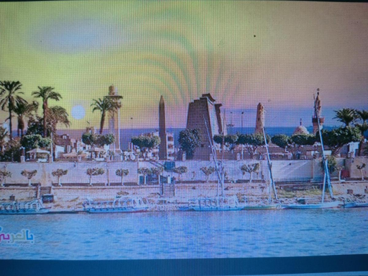 Luxor Oasis Guest House Экстерьер фото