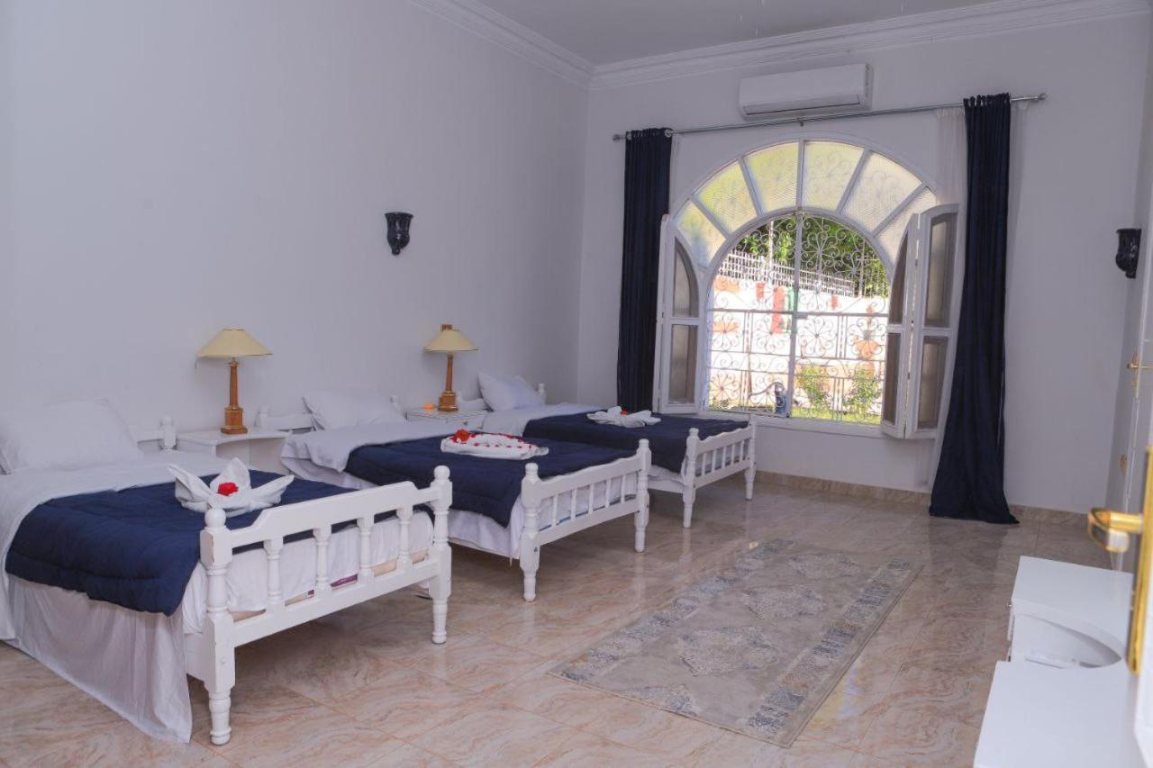 Luxor Oasis Guest House Экстерьер фото